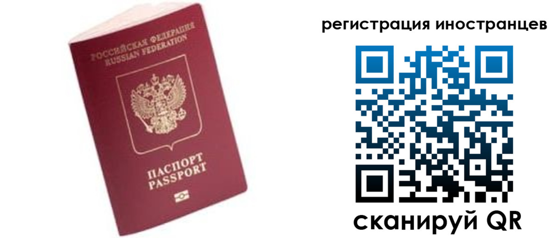 прописка гарантия в Вольске